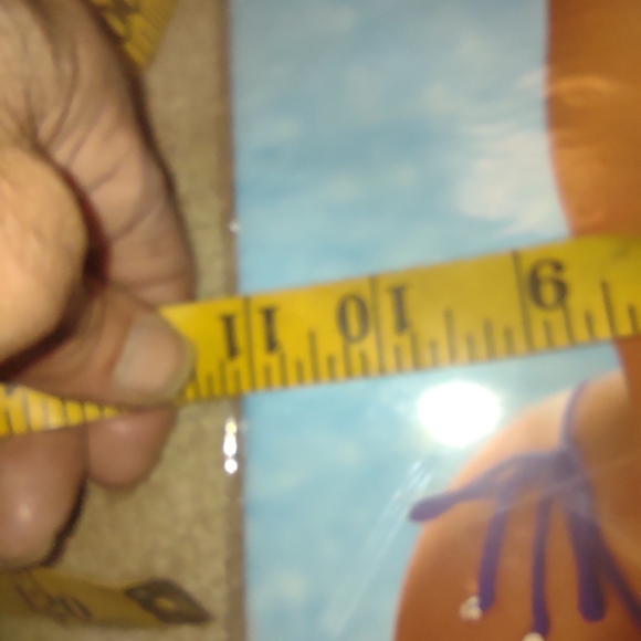 Hooter's Calendar new collectable - Picture 2 of 16